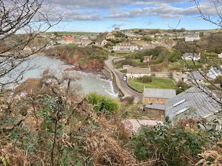 SPRAY FROM GOAT PATH